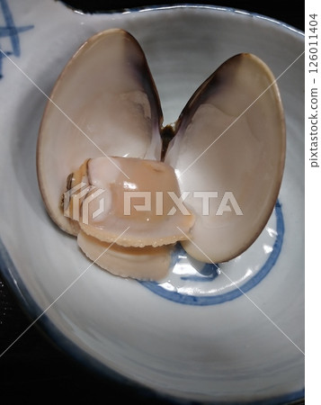clam clam 126011404