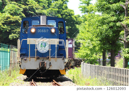 本牧線DD 55 126012093