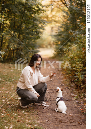 Woman training small dog during autumn walk in forest Woman training small dog during autumn walk in forest 126012105