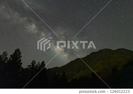 The Milky Way in the Yakushima Offshore Alps (July) Midsummer Milky Way and Yakusugi Forest 126012223