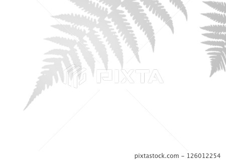 Fern branch shadow. Leaf shadow overlay. Sunlight trough the leaf. Nature organic shadow. Blurred Leaf shadow and light on wall background. 3d rendering Fern branch shadow. Leaf shadow overlay. Sunlight trough the leaf. Nature organic shadow. Blurred Leaf shadow and light on wall background. 3d rendering 126012254