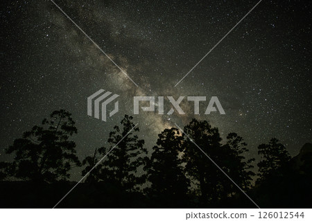 Yakushima Offshore Alps: Milky Way and Yakusugi Cedars (July) 126012544