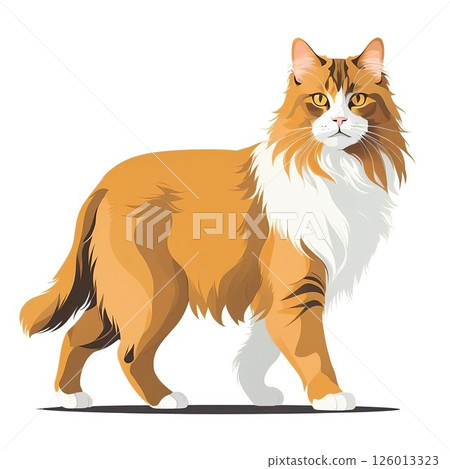 Norwegian Forest Cat walking 126013323