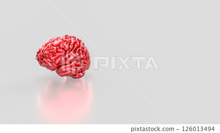 The Red Brain on white background for sci or medical concept 3d Rendering. 126013494
