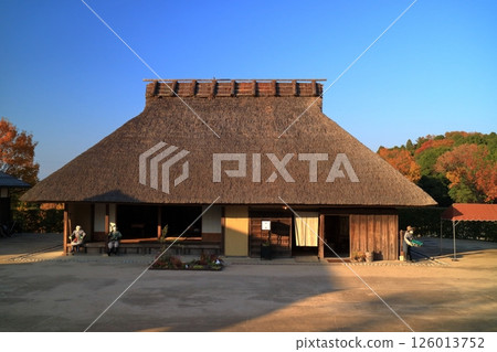 A thatched roof house surrounded by autumn leaves 126013752