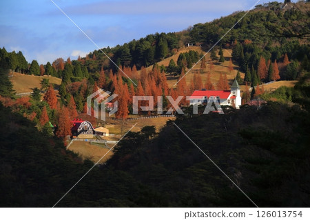 Rokko Ranch dyed in autumn leaves 126013754