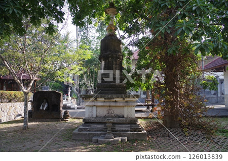Mendut 佛教寺院，日惹，印尼 126013839
