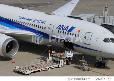 Passenger plane preparing for departure, loading cargo Passenger plane preparing for departure, loading cargo 126013962