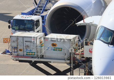 Passenger plane preparing for departure, loading cargo 126013981