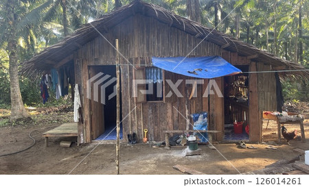 The small house, the center of life 126014261