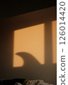 Morning sun and Finn reflected through the window 126014420