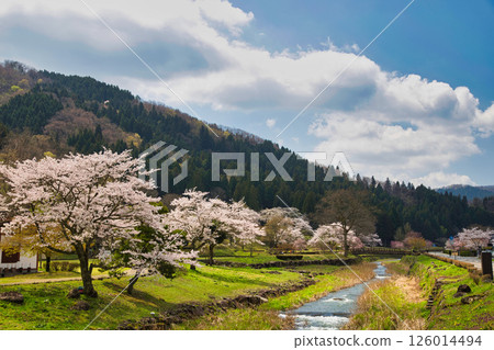Spring at Ichijodani Asakura Clan Ruins Spring at Ichijodani Asakura Clan Ruins 126014494