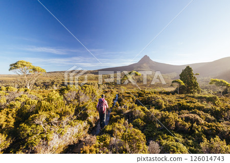 Barn Bluff Sunset View in Tasmania Australia Barn Bluff Sunset View in Tasmania Australia 126014743