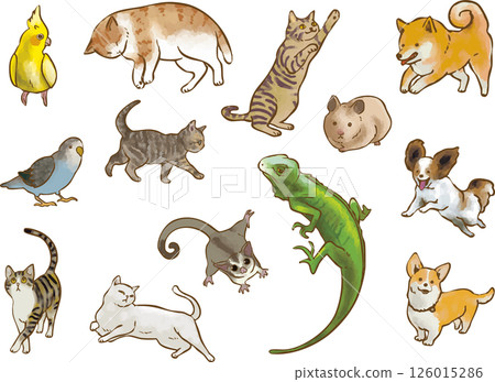 Various pets 126015286