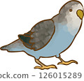 一隻鳥 126015289