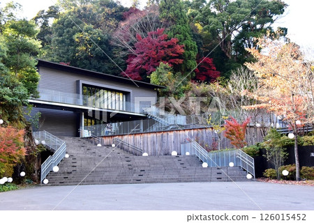 湯河原町萬葉公園湯河原總湯入口露台入口和秋葉 湯河原町萬葉公園湯河原總湯入口露台入口和秋葉 126015452