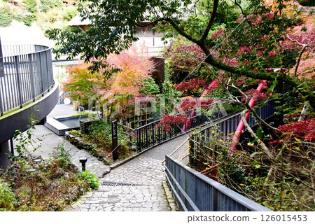湯河原町萬葉公園 126015453