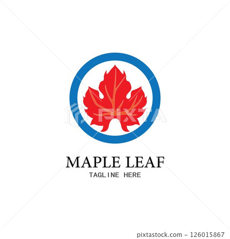 Maple leaf vector illustration Maple leaf vector illustration 126015867