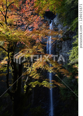 Rokujufu Falls on the Miyagawa River 126015871