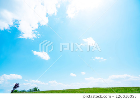藍天和大草原 藍天和大草原 126016053