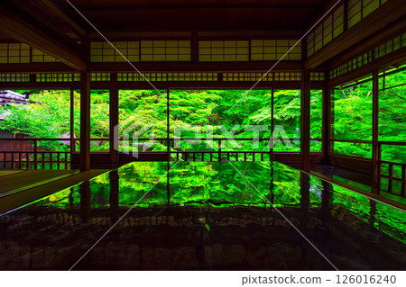 瑠璃光院的新鮮綠意與倒影 126016240