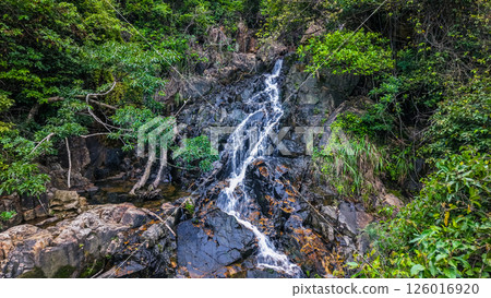 View of a Small Waterfall Surrounded by Lush Green Foliage View of a Small Waterfall Surrounded by Lush Green Foliage 126016920