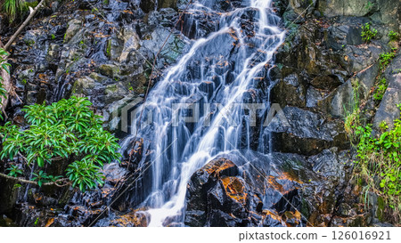View of a Small Waterfall Surrounded by Lush Green Foliage 126016921