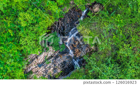 Beautiful Small Waterfall Surrounded by Lush Green Foliage and Natural Rock Formations 126016923