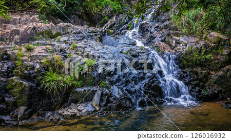 Serene Waterfall Cascading Over Jagged Rocks in a Forested Area 126016932
