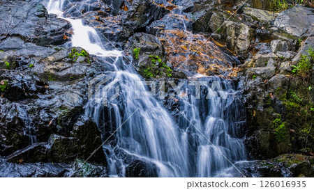 Serene Waterfall Cascading Over Jagged Rocks in a Forested Area 126016935