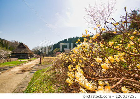 Spring comes to the eternal romantic forest 126017253