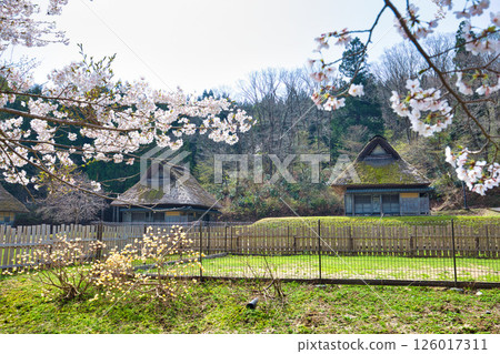 Spring comes to the eternal romantic forest Spring comes to the eternal romantic forest 126017311