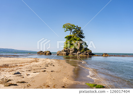 富山灣雨晴海岸的海岸線以其清澈的海水和漂浮的女性岩石令人印象深刻。 126017404