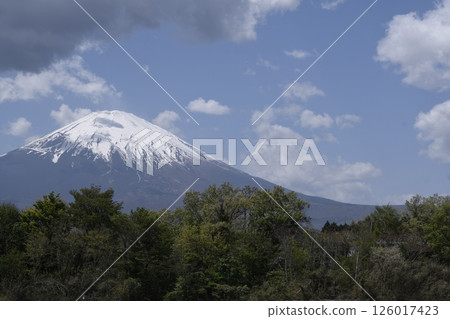 Mount Fuji Mount Fuji 126017423