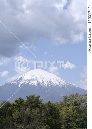 Fuji covered in clouds Fuji covered in clouds 126017424