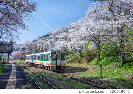 櫻花和當地火車 126019042