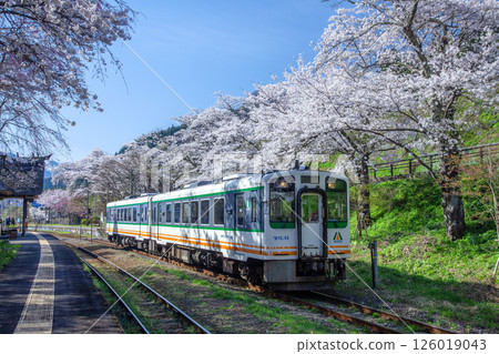 櫻花和當地火車 126019043
