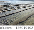 宮崎縣青島市鬼的洗衣板 2 126019402