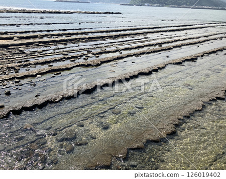 Demon's Washboard in Aoshima, Miyazaki Prefecture 2 126019402