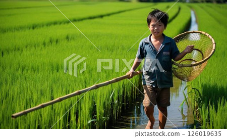 炎熱的夏日，一個男孩拿著網子穿過稻田 126019635
