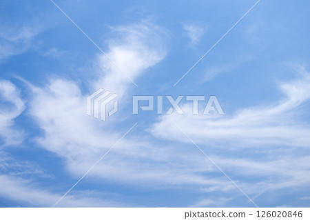 初夏的天空 五月 夏季 初夏 藍天 素材 [東京] 126020846