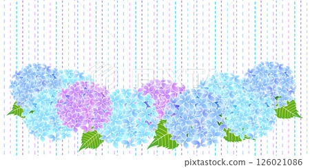 繡球花雨季花背景 繡球花雨季花背景 126021086