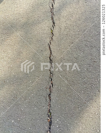 Weathering Crack in Asphalt Pavement with Emerging Plant Life and Debris 126021325