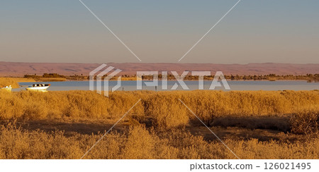 我的 AI 作品（照片） 126021495