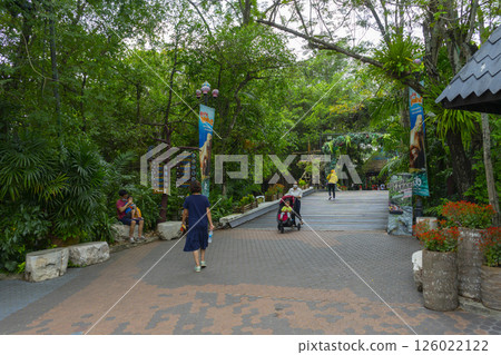 Bangkok, Thailand - Mar 6, 2022 : People walking and sightseeing at Safari World in Bangkok, Thailand on Mar 6, 2022. The park is opened in 1988 with a total area of 480 acres. 126022122