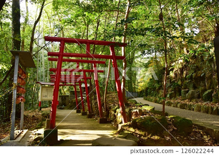 Yugawara Town: Manyo Park, Yugawara Soyu Trail and Tanukifuku Shrine 126022244
