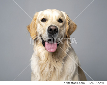 Golden Retriever AI-generated image 126022291