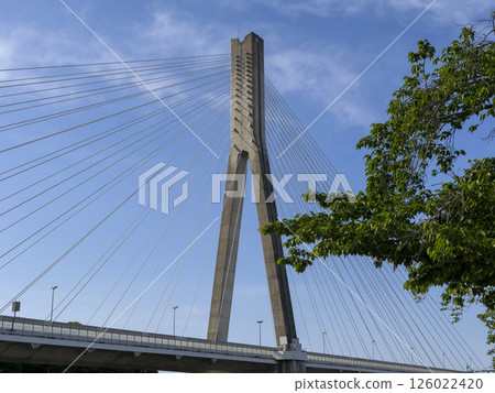 The New Inagawa Ohashi Bridge over the Inagawa River on the Hanshin Expressway Route 11 Ikeda Line extension 126022420