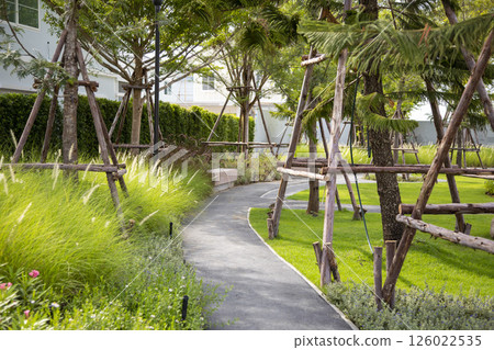 city park on a summer day, green lawns with grass and trees, paths and benches 126022535
