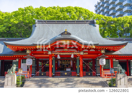 Ikuta Shrine: A magnificent vermilion-painted worship hall 126022801